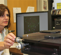 OU College of Medicine Researcher Discovers Protein in Development of Nearsightedness