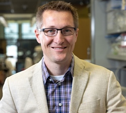 Research Shows How Hormone Can Reverse Fatty Liver Disease