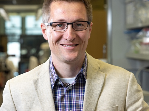 Research Shows How Hormone Can Reverse Fatty Liver Disease