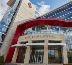 College of Medicine Announces Inaugural Vice Dean of Education