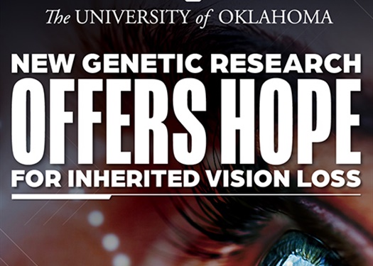 Unlocking the Genetics of Blindness: New Hope for Sufferers of Inherited Retinal Diseases