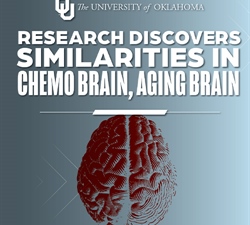 ‘Chemo Brain’ and the Aging Brain: Researchers Examine Similarities in Search for Improved Cognition