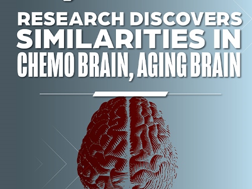‘Chemo Brain’ and the Aging Brain: Researchers Examine Similarities in Search for Improved Cognition