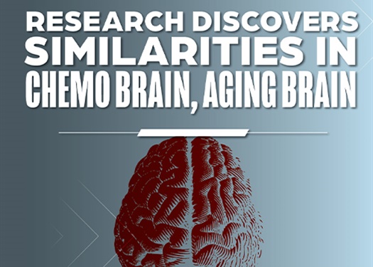 ‘Chemo Brain’ and the Aging Brain: Researchers Examine Similarities in Search for Improved Cognition