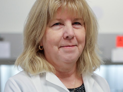 New NIH Grant Advances Lupus Protein Research