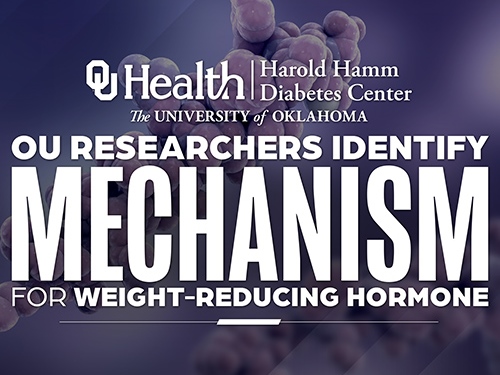 Researchers Identify Mechanism for Body Weight-Reducing Hormone