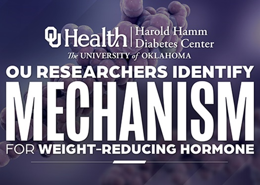 Researchers Identify Mechanism for Body Weight-Reducing Hormone