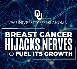 Researchers Discover How Tumors Enlist Nerves to Keep Growing