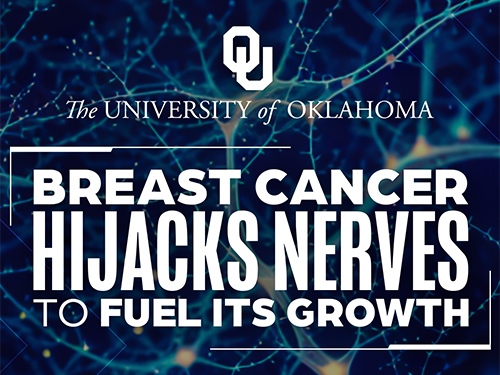 Researchers Discover How Tumors Enlist Nerves to Keep Growing