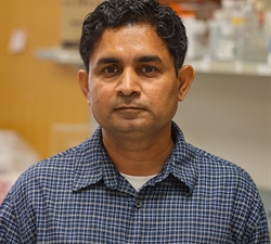 $2 Million NCI Grant Funds Research on How Pancreatic Cancer Uses Cholesterol to Survive