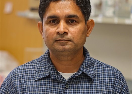 $2 Million NCI Grant Funds Research on How Pancreatic Cancer Uses Cholesterol to Survive