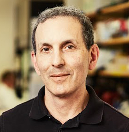 Distinguished Diabetes Researcher Named 2019 Hamm Prize Laureate