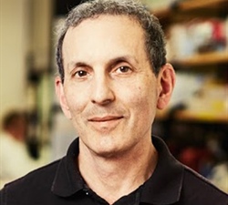 Distinguished Diabetes Researcher Named 2019 Hamm Prize Laureate